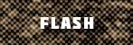 Flash